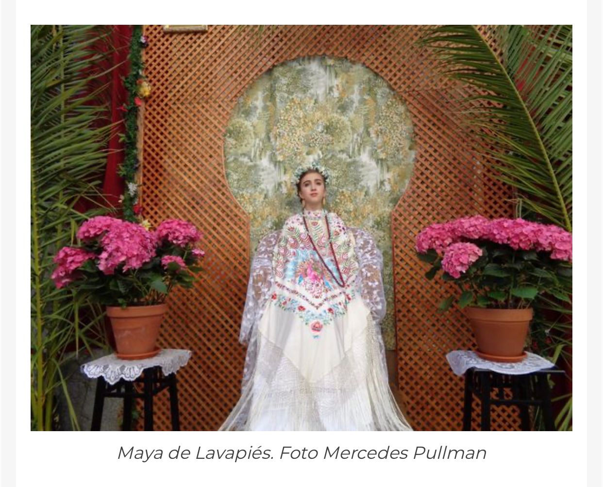 asociacion-de-vecinos-el-rastro-de-madrid