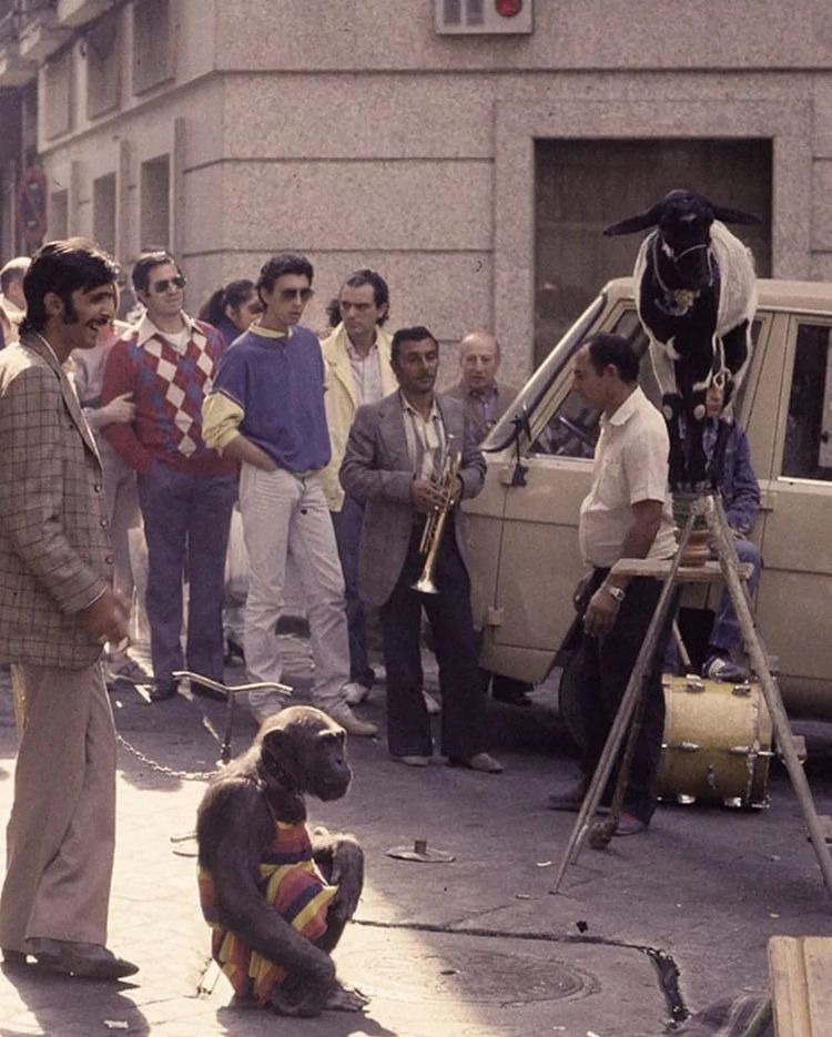 imgi_122_Fotos-Aniguas-Rastro-ItsOldMadrid-3