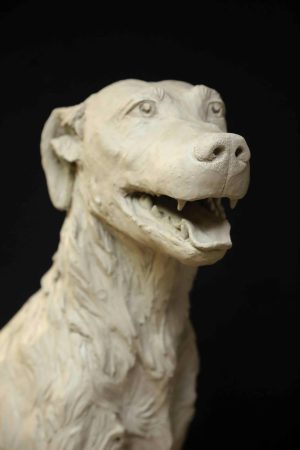 Inauguración estatua perro Paco – 16 de Enero de 2023 (1)