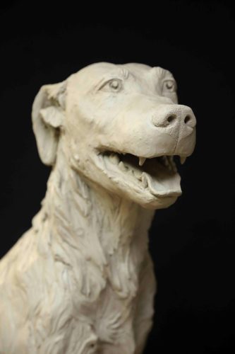 Inauguración estatua perro Paco – 16 de Enero de 2023 (1)
