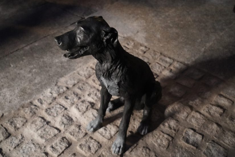 Inauguración estatua perro Paco– 16 de Enero de 2023
