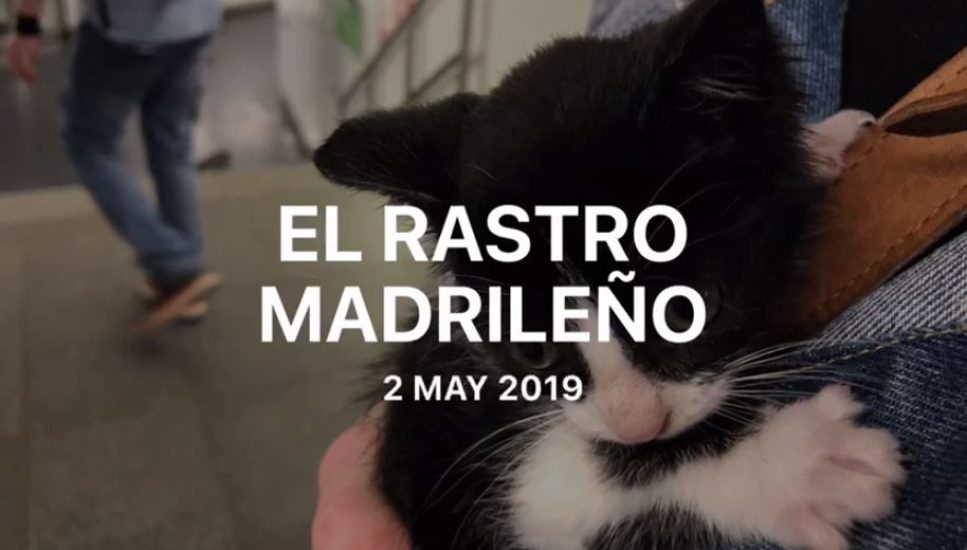 Ven al Rastro – 2 de Mayo de 2019